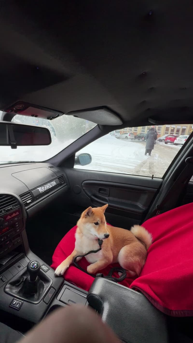 Pole na Stole